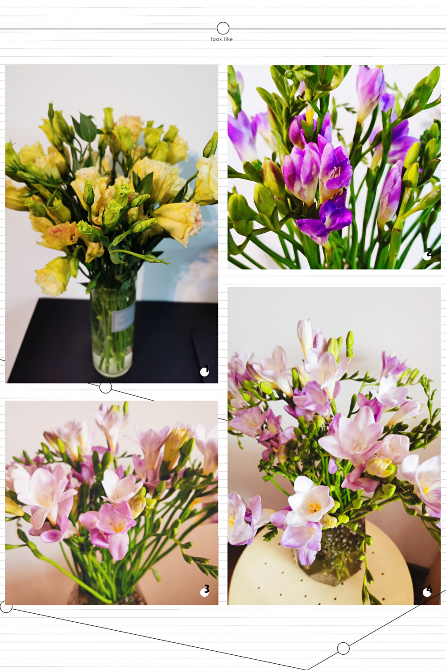 Happy Women’s Day | 戰(zhàn)疫時期，這個三八節(jié)，我們“e”起過！